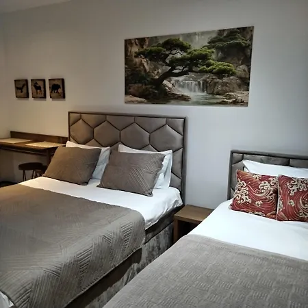 Nik Kopaonik 아파트 *